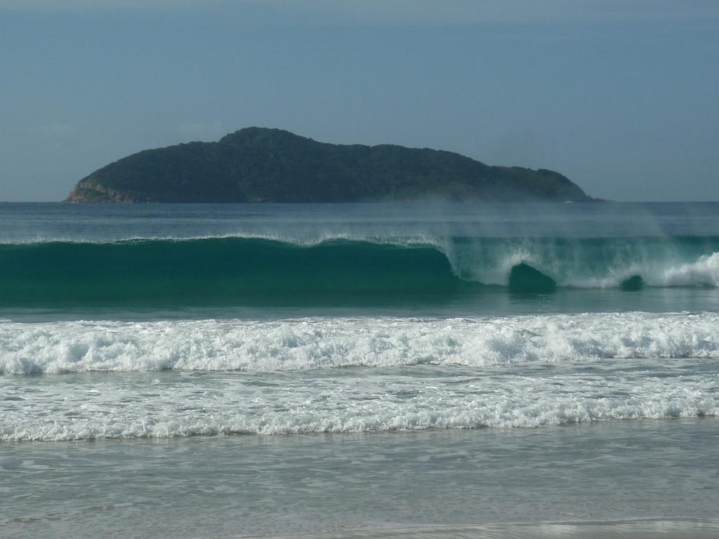 2011_05_Australia (320).JPG